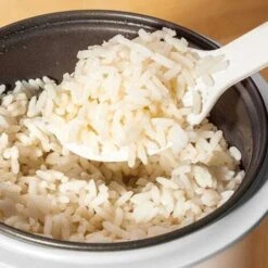 Judge Mini Rice Cooker -Smart Home Appliance Store 88699972 5